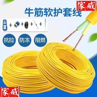 Outdoor 2-Core Wire Electric Vehicle Charging Cable Power Extension Cable Household Cable Flexible Cable 2.5/4 Square Sheathed Cable