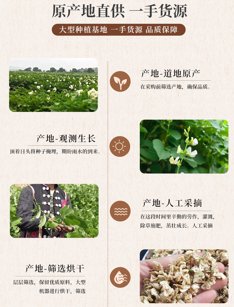 Dried White Hyacinth Bean Flower Bian Dou Hua 500g Natural Sun Dried Herbal Tea Flowers quality and texture