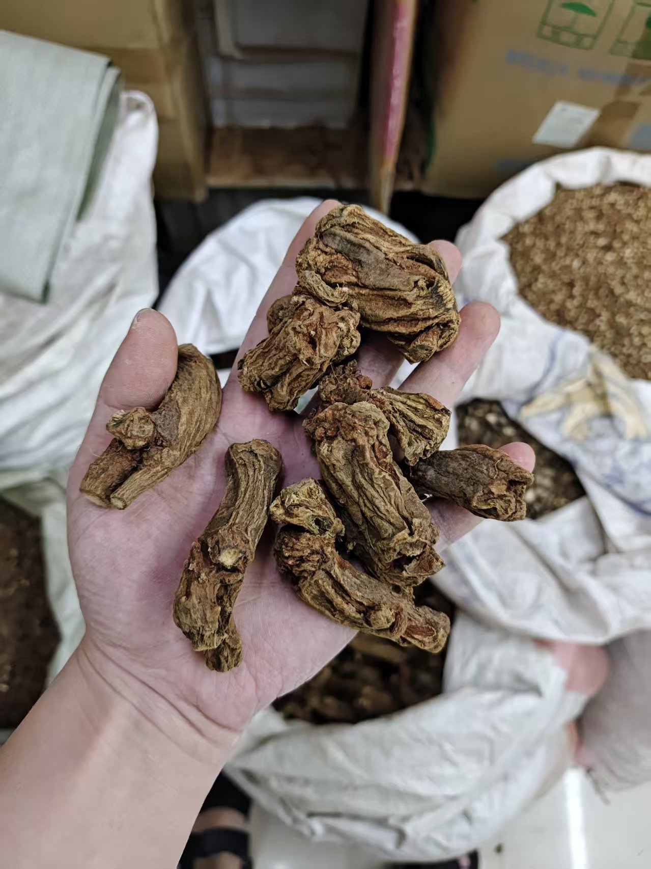 Dried Danshen Root Heads Dan Shen Whole Salvia miltiorrhiza for Decoction 500g specifications