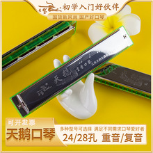 ���Z���ٌ��I���༉��������C�{����24��28�׳��W�����T���˃�ͯ