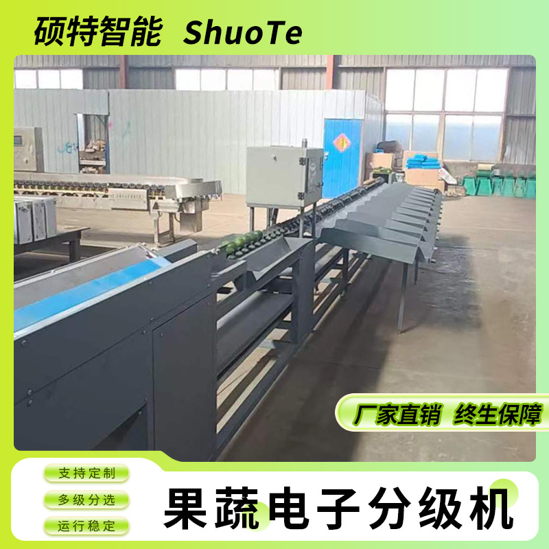 冰糖橙重量分选机 柑橘称重等级电子选果机 果冻橙大小果分级设备
