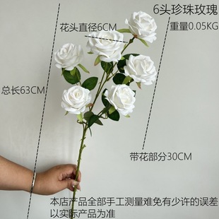 ����6�^����õ�� ��c�Y�û���·���廨��ˇ�b�ƿ���[�ř����[��