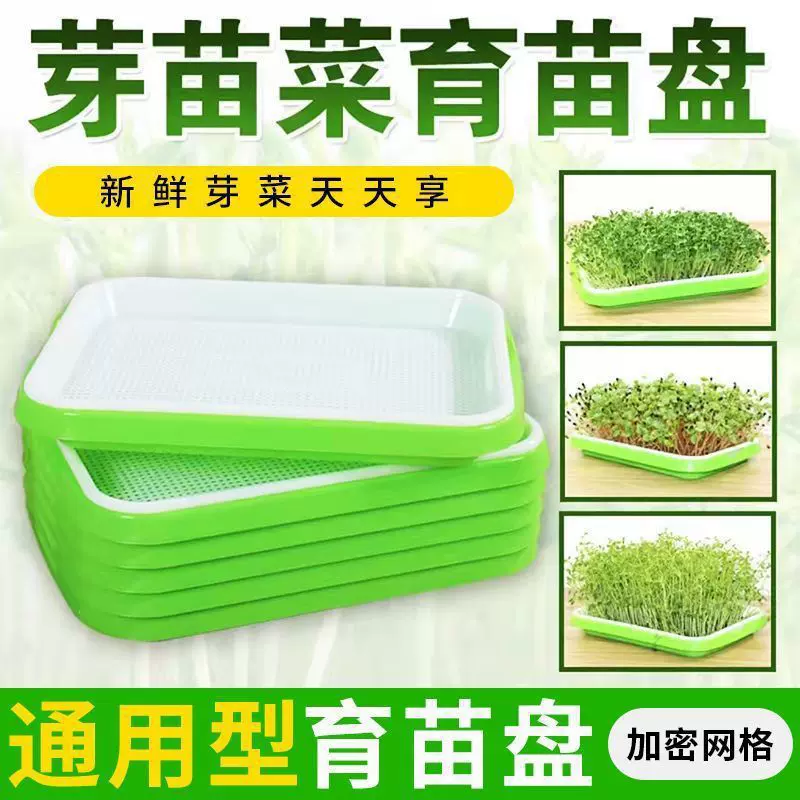 阳台种蒜苗盆大蒜种植托盘种大蒜神器水培大蒜种植盆种大蒜育苗盘