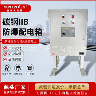 Explosion-Proof Distribution Cabinet Vertical Carbon Steel Material 7035 Explosion-Proof Control Box Cabinet Explosion-Proof Electrical Box
