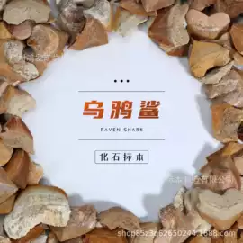 宝石工艺品;水晶工艺品;标本