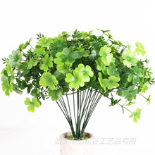 �¿�Gɫֲ��7�����~�����\��ֲ���Ĳ廨���ˮ�ݹ����b�