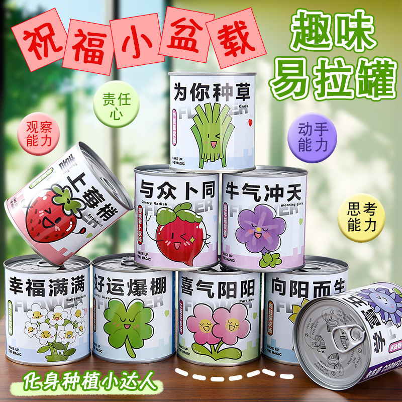 Canned Plant Desktop Mini Green Plants Easy to Care for Creative Small Potted Plants Office Planting Blind Box Student Reward Gift