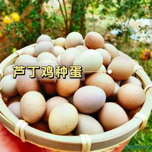 ���l�J���u�ܾ����ɷ��������u�W�t�u�R���u�N����ϵ׃�����߻�