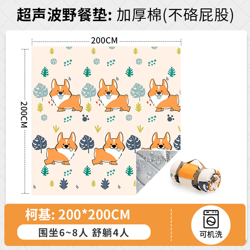 200*200 코기