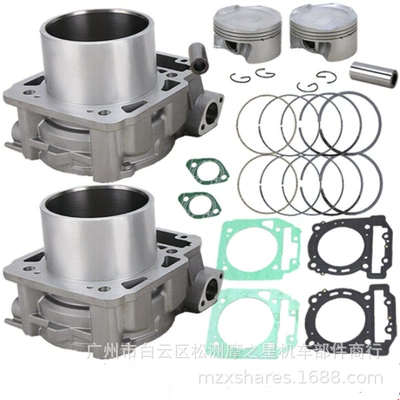 Cylinder kit Can-AmCommander Cylinder and parts