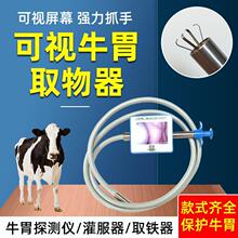 ţθȡ����̽�y�x������_����ţ��θ�Q�R�\����θ��ҕ����ȡ�F��