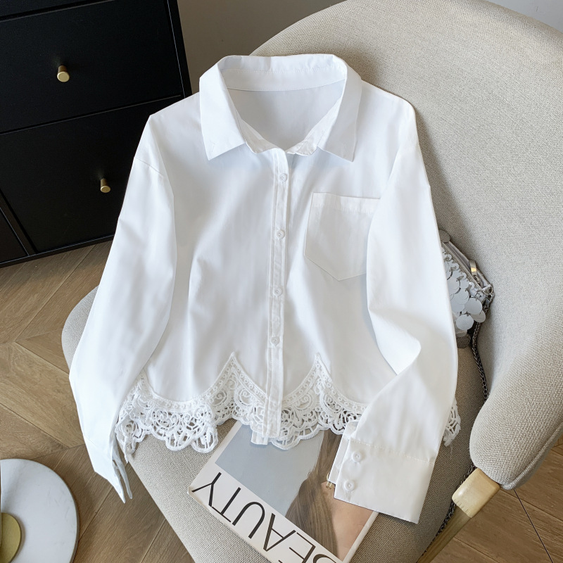 Real shot in stock design sense loose hollow lace long sleeve shirt women's spring 2025 new chic top