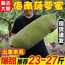 ���ں��ϲ��}��һ�������rˮ�����]�����Fժ�S�Ⲩ�_�۴�������t