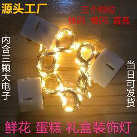 LED小彩灯花束鲜花满天星蛋糕装饰灯灯串铜线小灯串室内纽扣电池