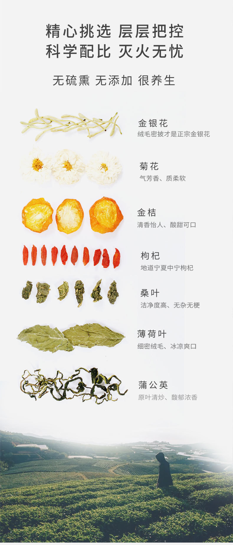抽屉金银花菊花