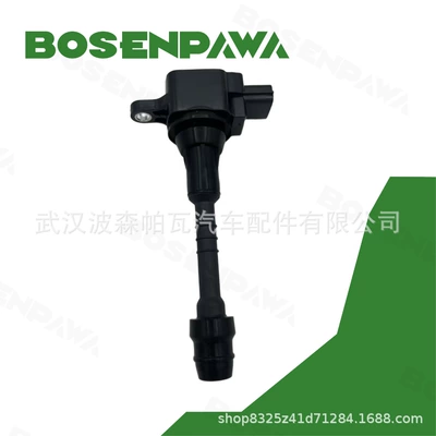Coil 22448-6N015 – Alovlanma bobini (Babinalar)