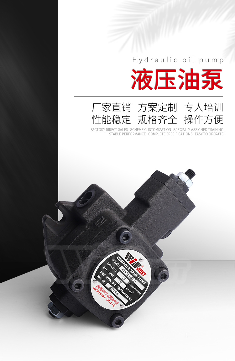 液压油泵VP-SF-20詳情_01.jpg