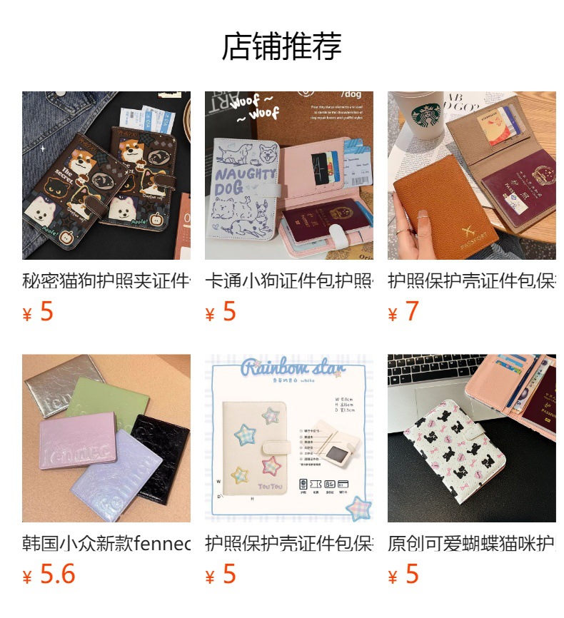 Reisepass-Etui, Farbblock, tragbar, Reiseorganizer