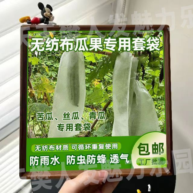 无纺布瓜果防虫套袋苦瓜丝瓜青瓜羊角密防针蜂透气网袋防鸟保护袋|undefined