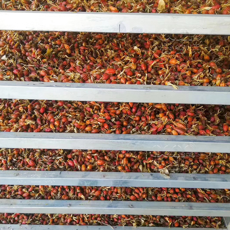 黄栀子烘干机 山栀子烘干房 中药材 香辛料箱式干燥设备 新空源