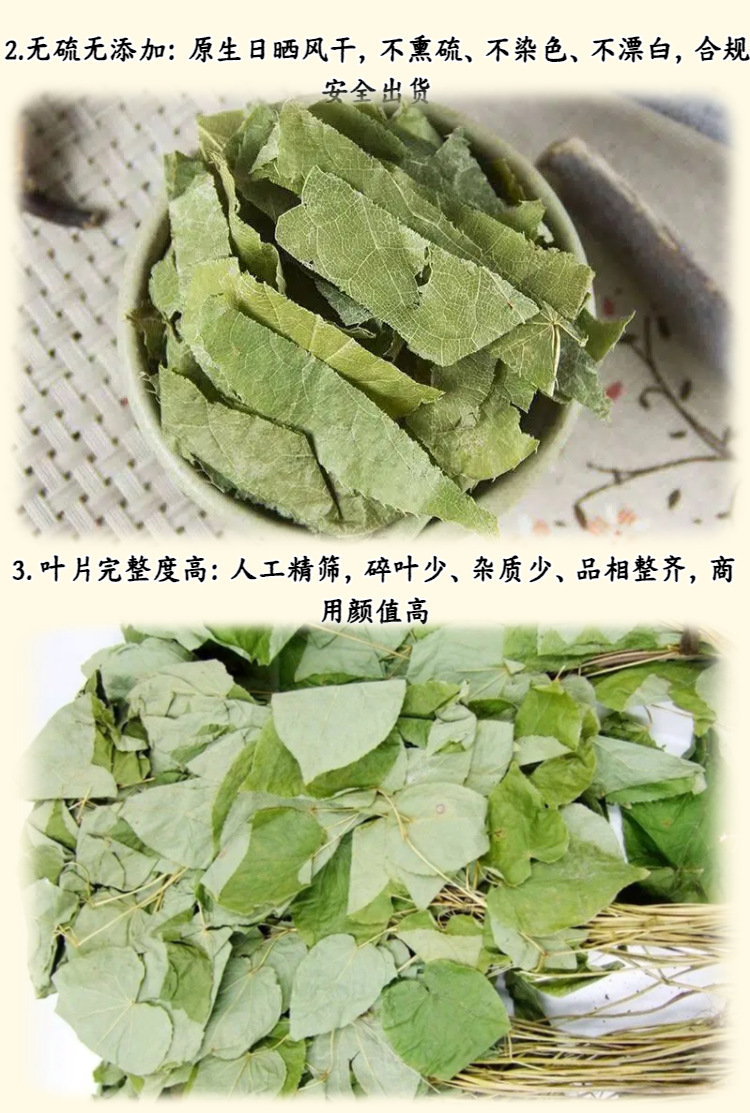 Epimedium Leaf Yin Yang Huo 500g Dried Herba Epimedii for Tea and Wine Infusion quality and texture