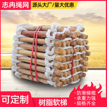 ����ܛ�� �߿����I��Ԯ�����ݑ��������K�ݑ������� �^����֬ܛ��