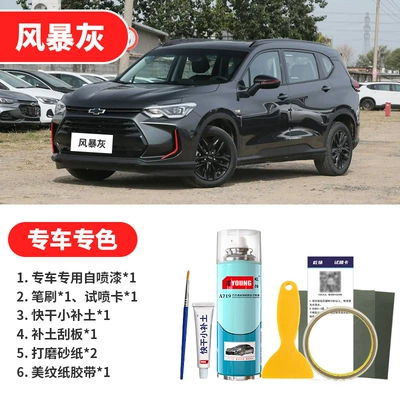 Repair Special Self-Applying Paint in — Avtomobil boya qələmləri - storm-gray-emergency-repair