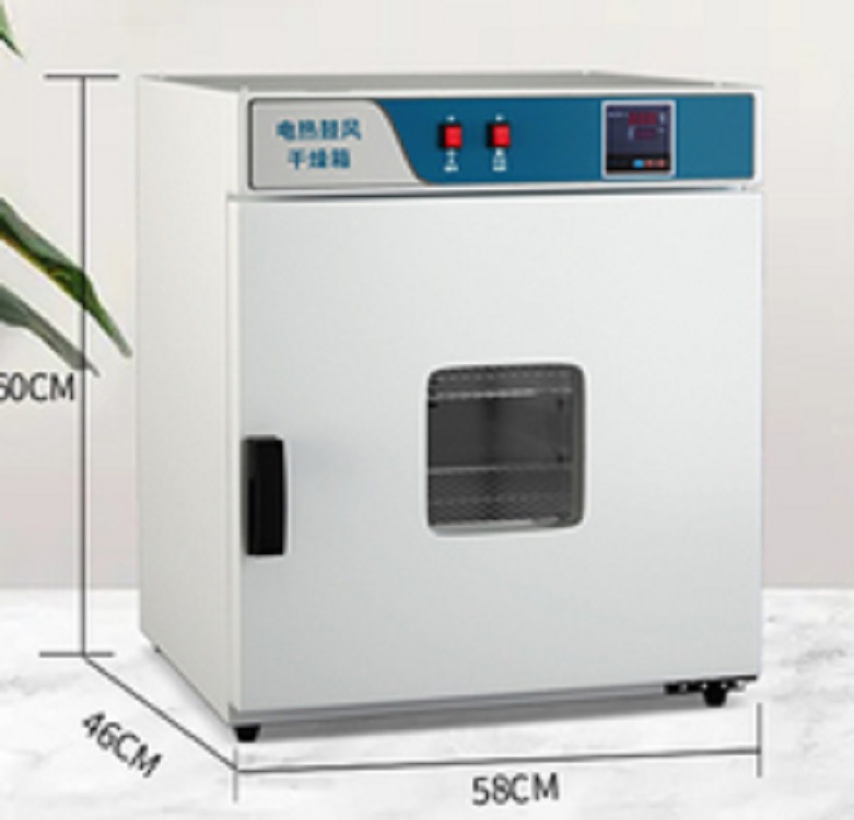 电热恒温干燥箱（不锈钢内胆带鼓风） 型号 M405439库号 M405439