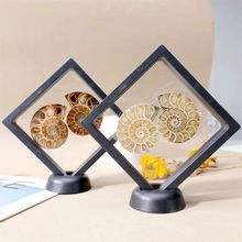 天然玉化海螺斑 彩螺化石螺菊石 原石切片摆件矿标收藏装饰品批发