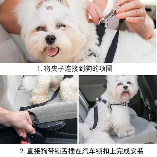 Pet car safety belt 2.5CM high quality material pet safety belt dog leash dog safety belt