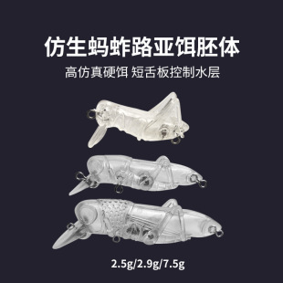 ����·���D�������Dë�����ZΛ�ƻ��x·�� ���x�D ���D�~�D���w