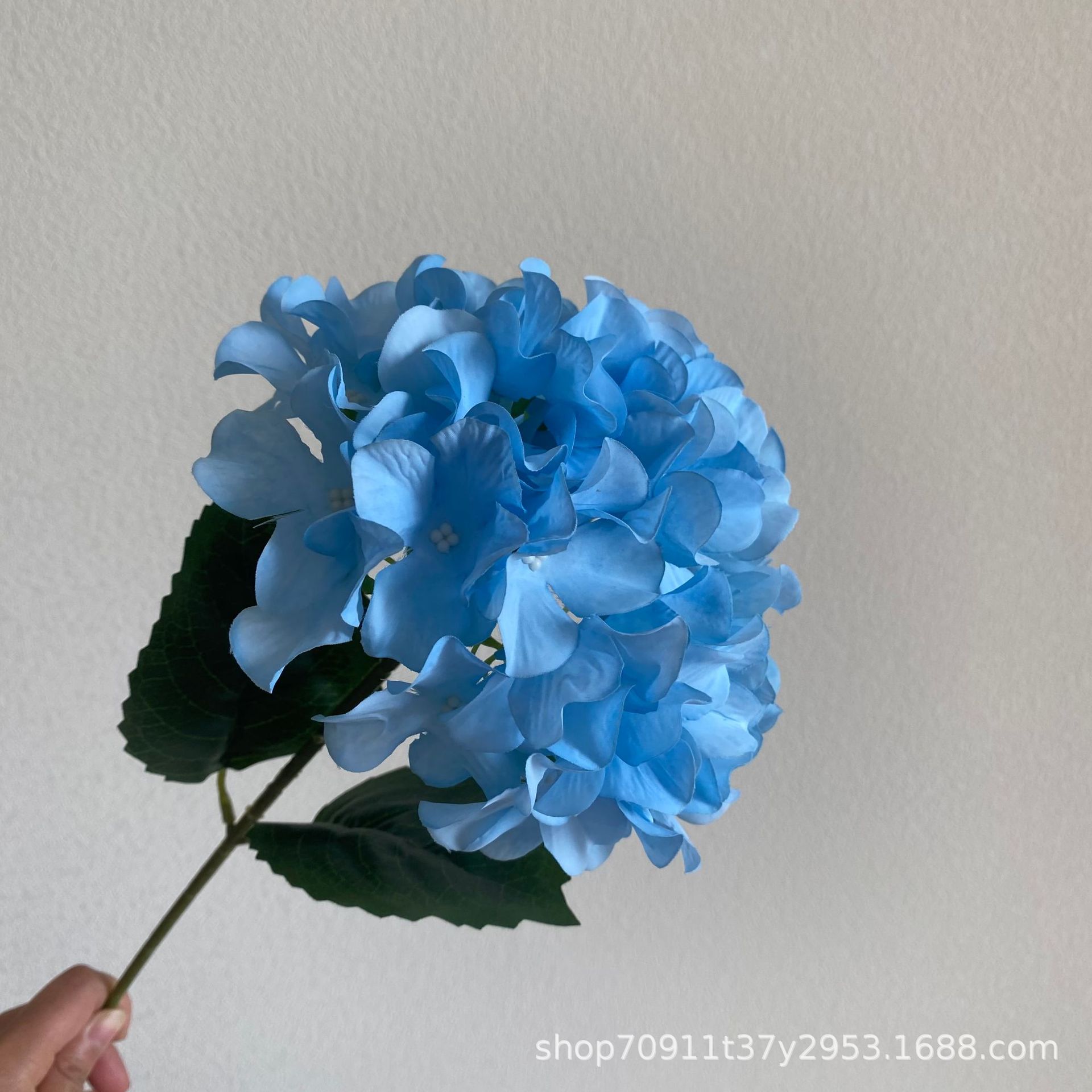 블루