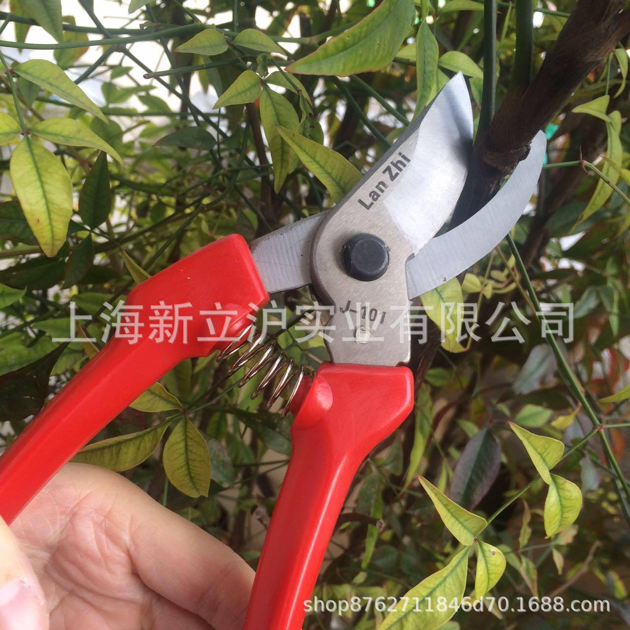 园艺修枝剪兰枝101花剪刀修剪树枝果树剪子园艺工具果树修剪刀