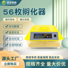 �u���B�N�������O��egg incubator 56öС�u�����C���ܷ������a��