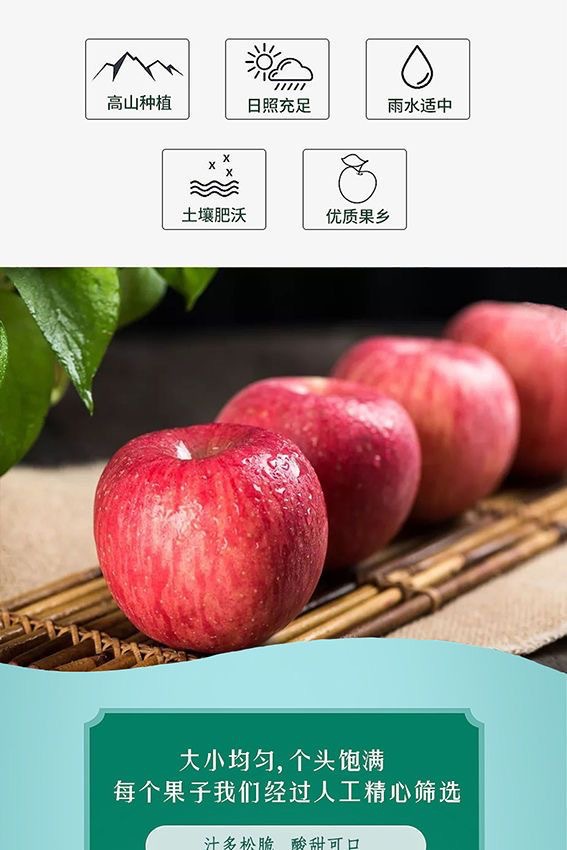 微信图片_202309191141091