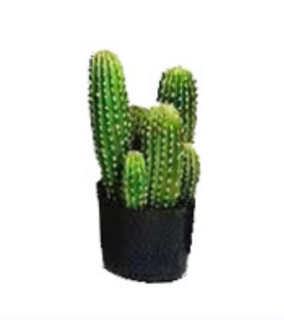 Simulación de cactus cactus en maceta gran planta tropical falsa columna de cactus escena interior decoración de ventana
