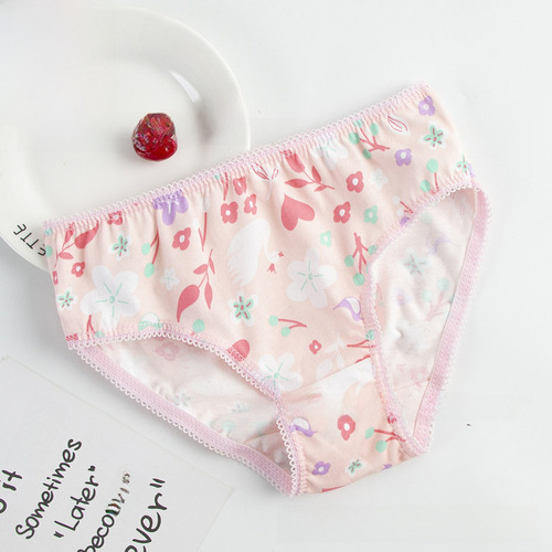 Export Triangle Panties for Girls, Cotton, Mixed Flowers, Multi-color Children's Underwear Factory Wholesale 