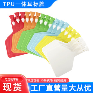 ţ��һ�w������ţ�Bֳ��ӛ̖�ƶ��������F�Ø�ӛ��ţ����TPU���|