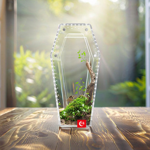 TX�羳͸����������ͨ�L֩��\ �������x�ɗ����Ϣ����B��