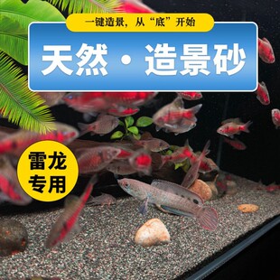 ��ϴ��Ʒ������ɳ����ɳ��tɳƫ����Ҽtɳ�߲����~ԭ���~���쾰