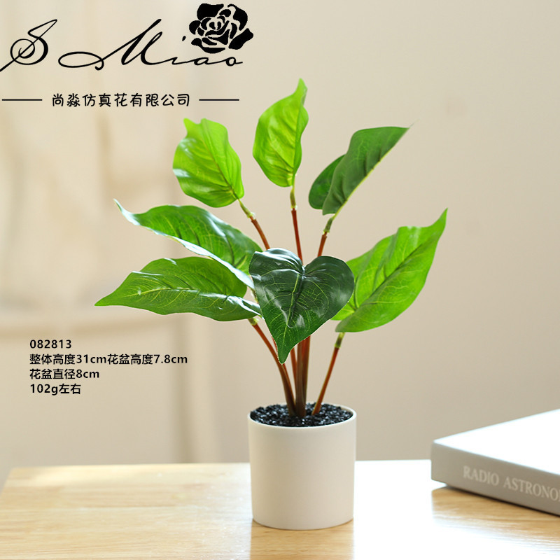 082813 plantas verdes en maceta ☆