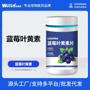 Five-Finger Peak Cat Tear Stain Dog Eye Protection Blueberry Lutein Tablets Vision Eye Discharge Pet Nutritional Supplement Eyes
