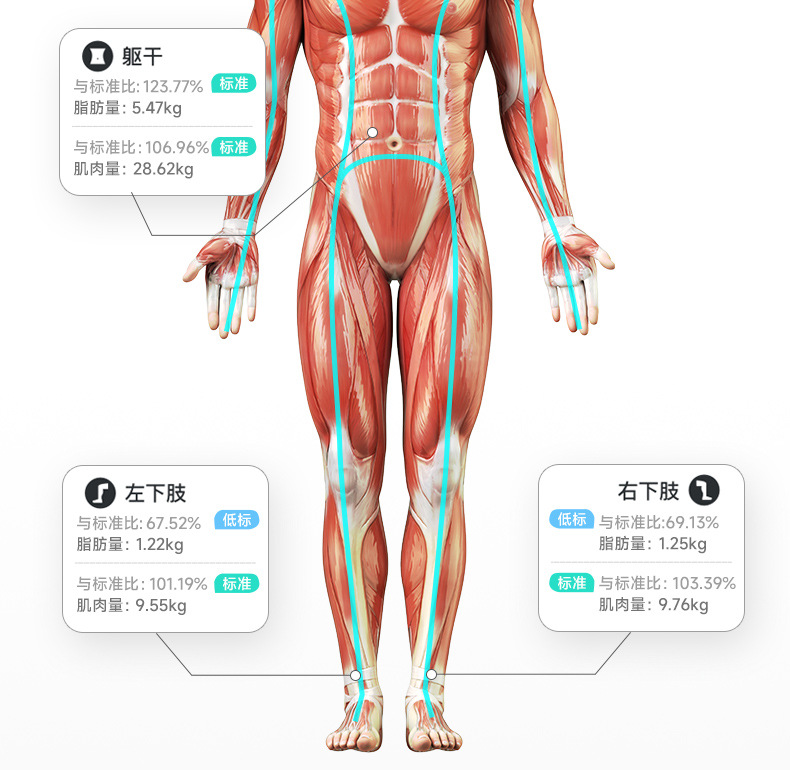 Smart home wide-screen color display scale, precision Bluetooth electronic scale, eight-electrode body fat analyzer for fitness management.