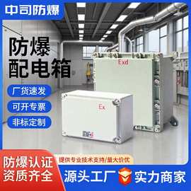 粉尘防爆接线箱增安控制箱端子箱防尘铸铝防水隔爆照明配电箱检修