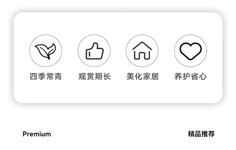 fe657353-2edd-44f5-b878-42783bbf927d.jpe