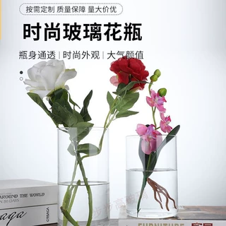 定制透明花瓶高硼硅防摔高颜值直筒花瓶创意塑料花瓶摆件插花水养
