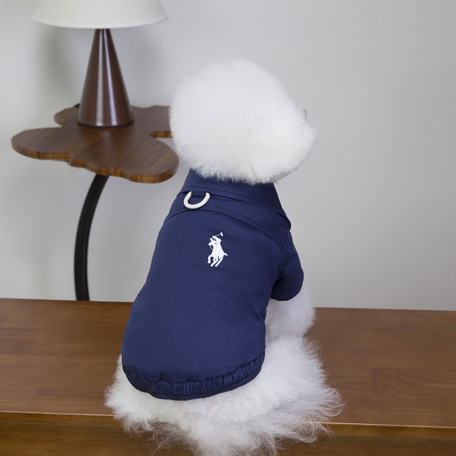 Giacca a due gambe per cani autunno e inverno ispessita calda e resistente al freddo gatto Bichon Teddy 25 giacca a due gambe