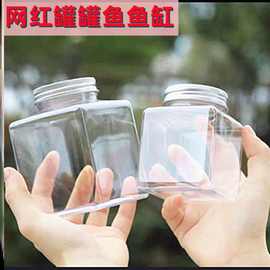 现货网红罐罐鱼瓶500ml透明正四方斗鱼杯pet爆款塑料瓶子厂家直供