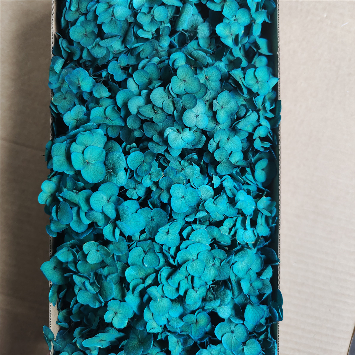 Flor eterna Hortensia Anna pequeña hoja flor seca flor real árbol de Navidad ventilador hecho a mano ramo DIY material paquete flor