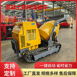 出口美国履带式水泥搅拌车 工程小型混凝土上料车 水泥自卸运输车